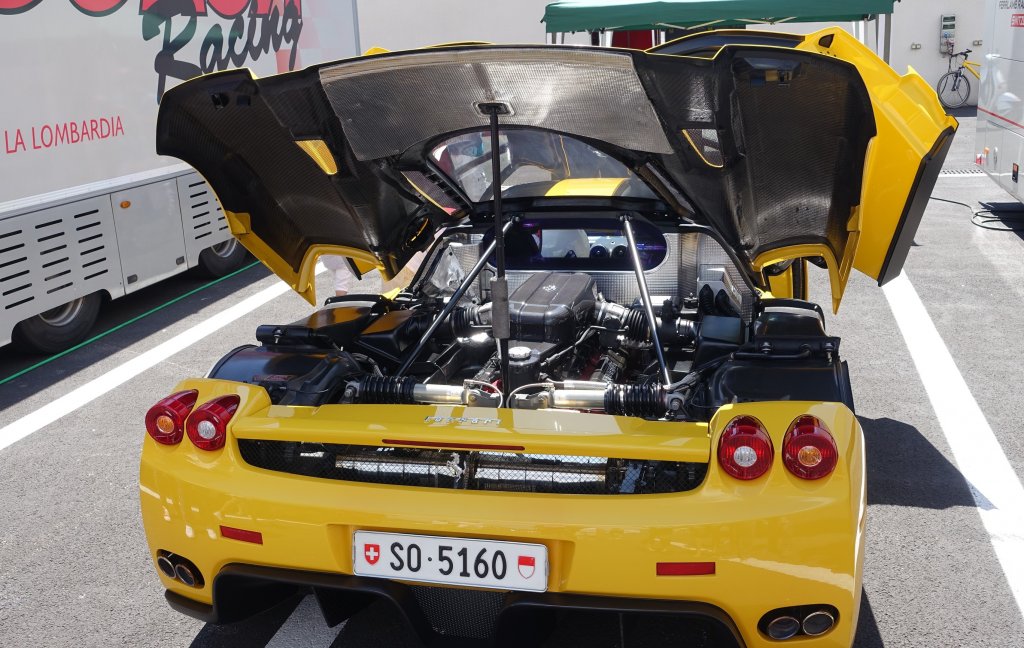 5aedc0502f99d_Enzojaune3.thumb.jpg.e7c3607a2356fecaae39b754abf8e0fb.jpg