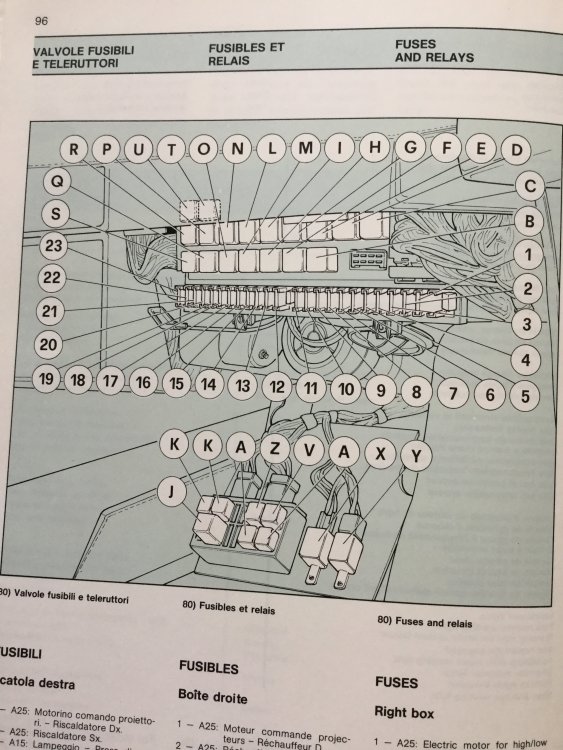 91C0778D-C73A-417E-A0E8-B031D0262D71.jpeg