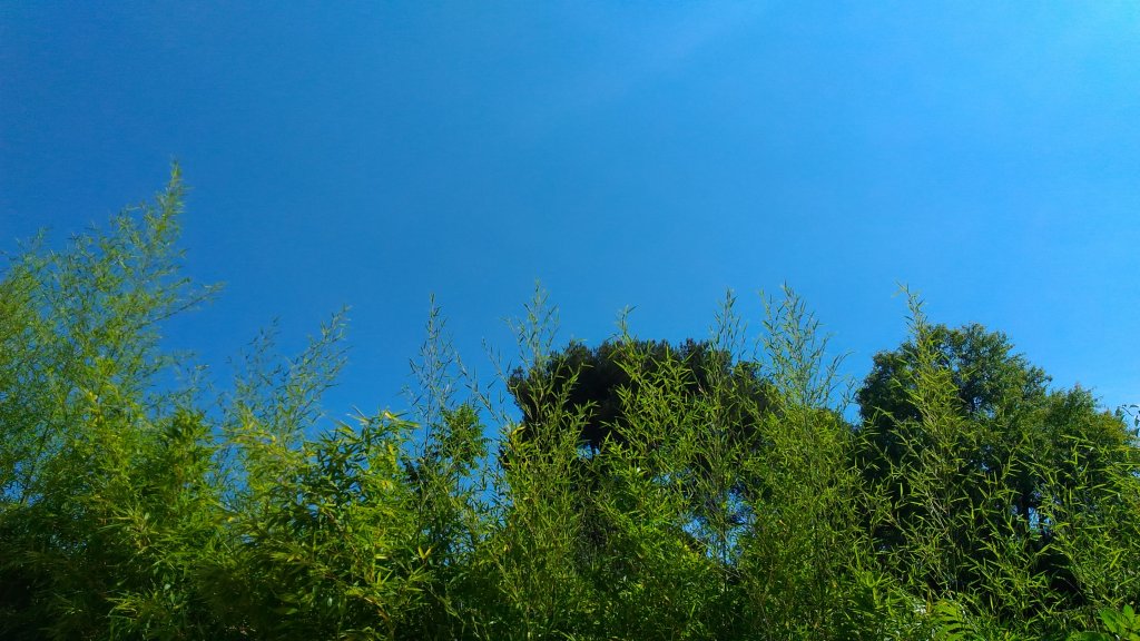 P_20180623_162354.jpg