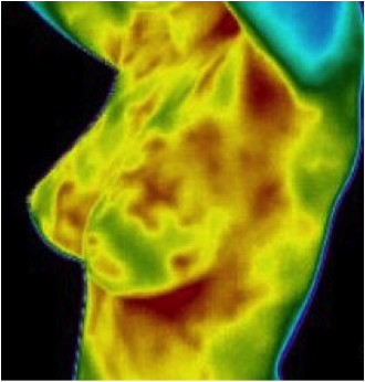 Thermo4.png.ed2ab5f453e03ad492a2282dafdf8990.png