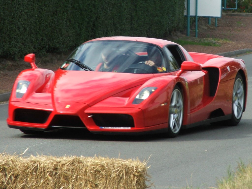 enzo-7.thumb.JPG.4c403887f624c0c3bbfef4a20c3f7d2b.JPG