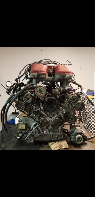 Screenshot_20190121-163333_Gallery.jpg