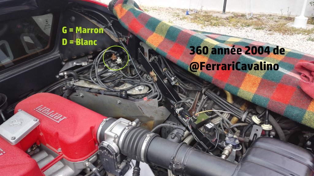 5c80f441b1c98_360-2004_FerrariCavalino_MB.thumb.jpg.efe806f92695c59f25362bbd3c0072bd.jpg