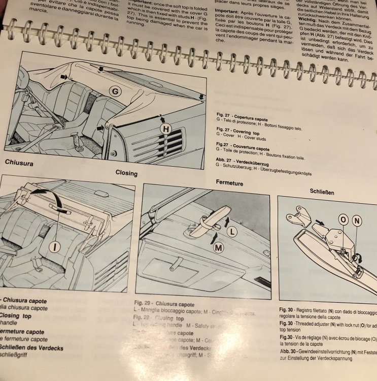 BB93C688-927A-4CD7-802B-184EADFE9B4A.jpeg