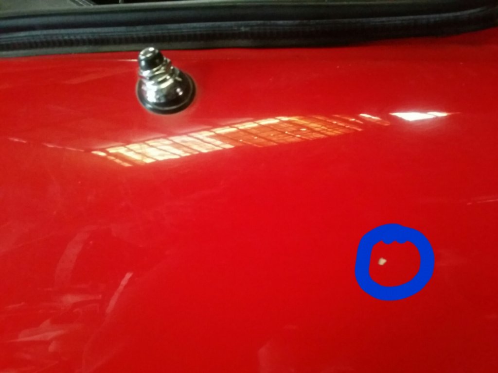 20190615_125651.thumb.jpg.c9d645869fa7ca90328ea7081891f3aa.jpg