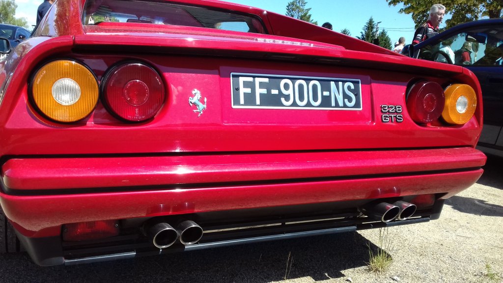 20190616_113021[1].jpg