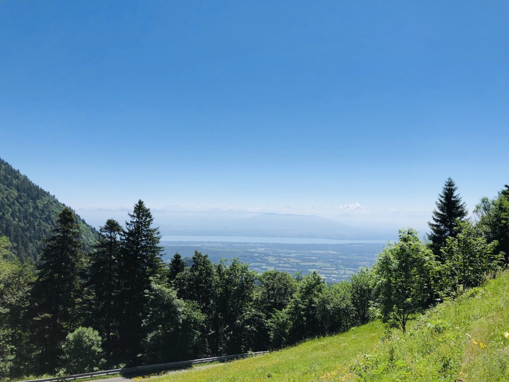 C607D52B-2F09-46D5-A5F6-E8BD14E45954.jpeg
