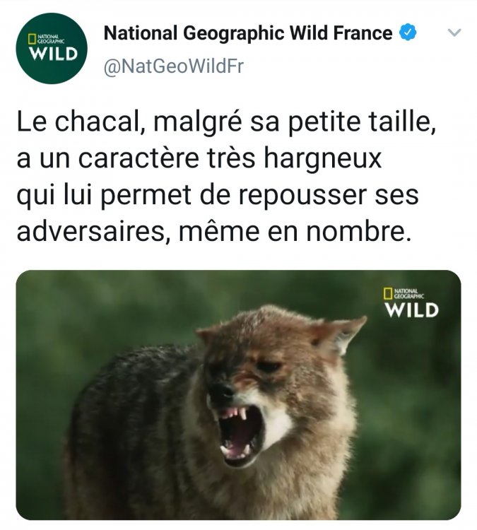 Screenshot_20190709_154528.thumb.jpg.018efd4cc08f8e6de6322bfc9379f1ab.jpg