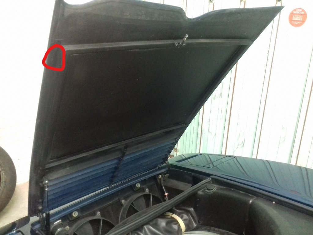 ASSY_front_hood.jpg