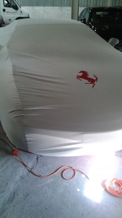 FERRARI 12.jpg