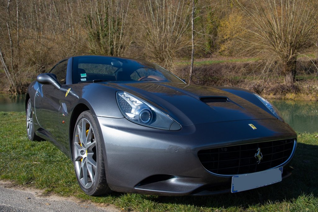 DSC_4419.jpg