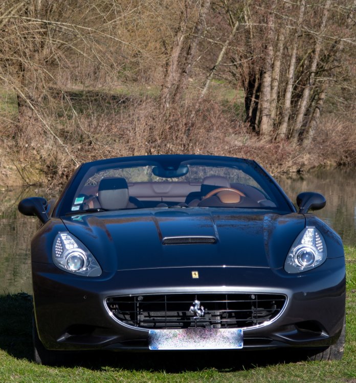 DSC_4480.jpg