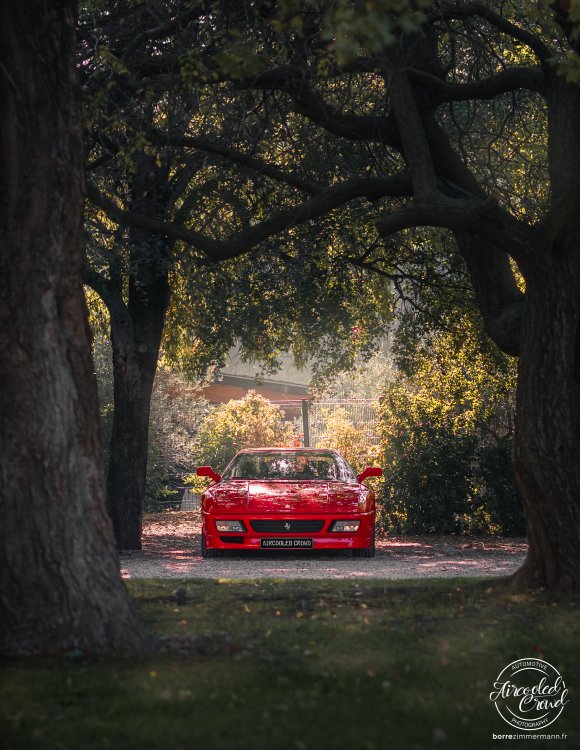 Supercars Provence-14.jpg