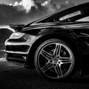 Alex - V12