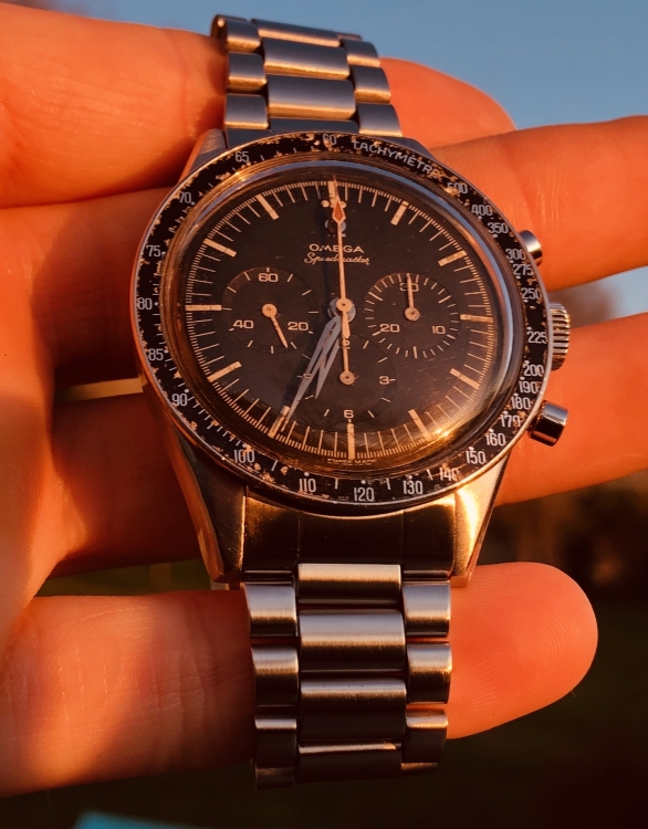 068D23F3-529C-4387-95BA-22CDA5DF3E95.thumb.jpeg.30742cb8f9ee860d542c44ceaa22effd.jpeg