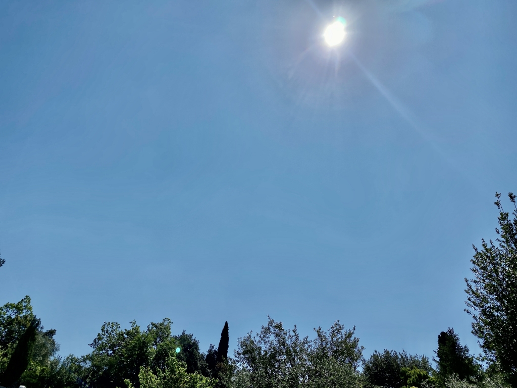1017AEE2-B0C4-412A-8F19-FC50E04A8D16.jpeg