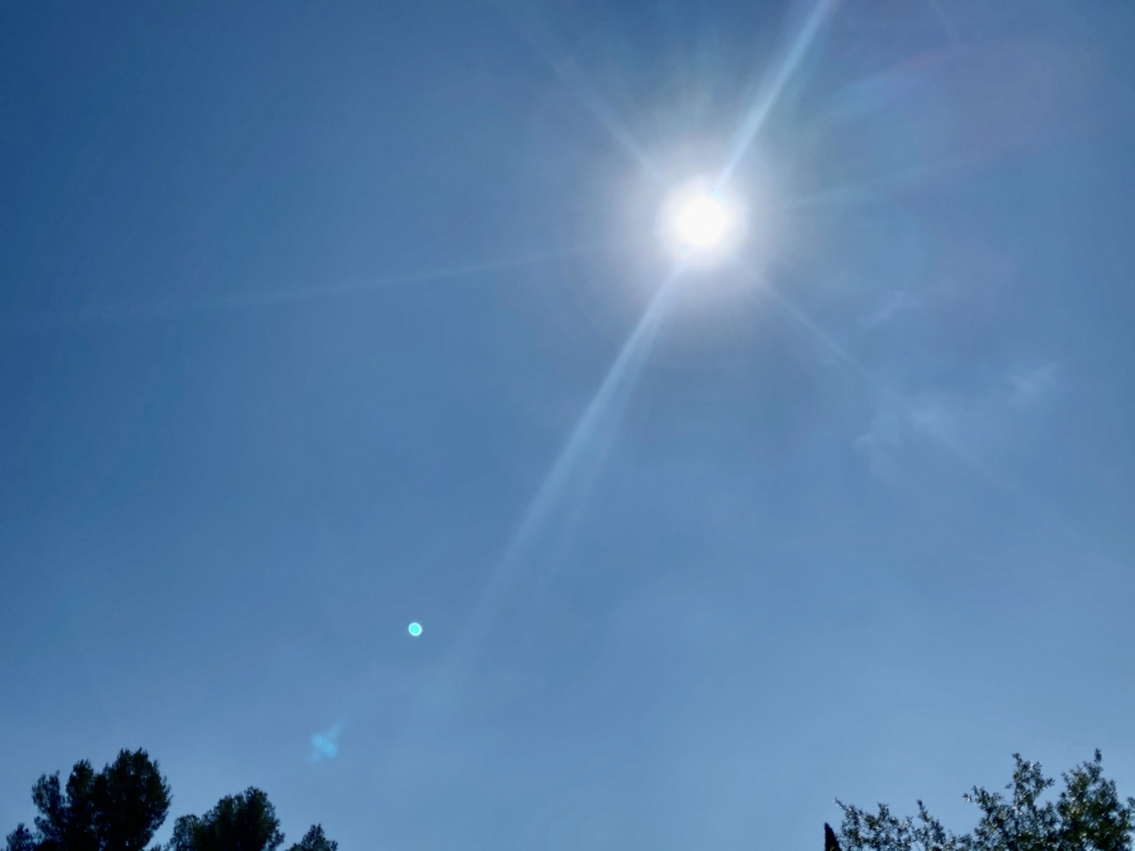 6799B7FE-CFFC-4B91-A5F0-BE35E4C0504F.jpeg