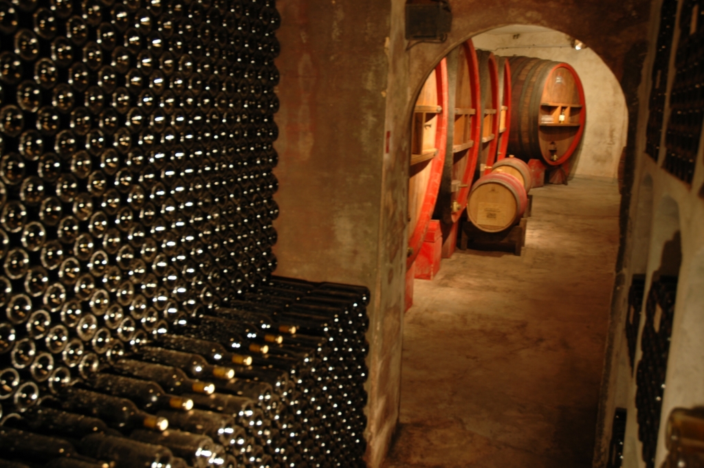 domaine de terrebrune 2.JPG
