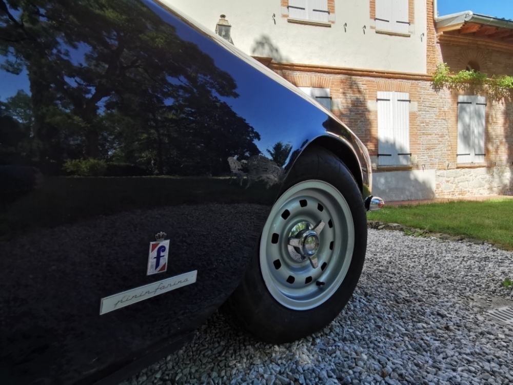 365gt-4-365.jpg