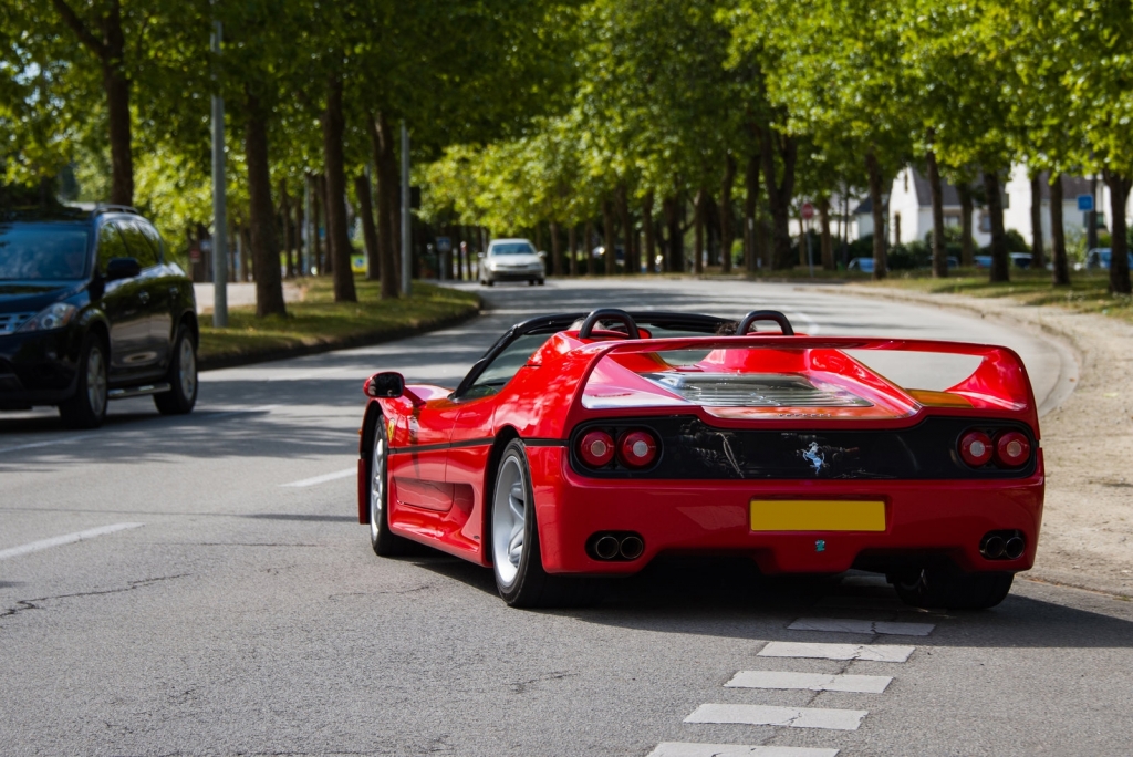 Curlybis-1-F50-D.jpg