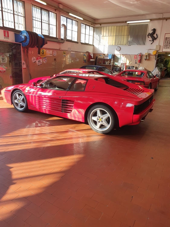 E55095D1-2E09-40B5-ABA9-04D584F63C6B.jpeg