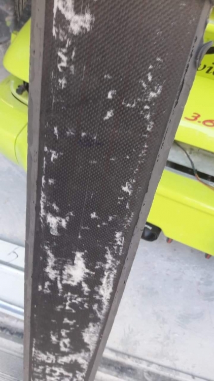 received_281216786653093.jpeg