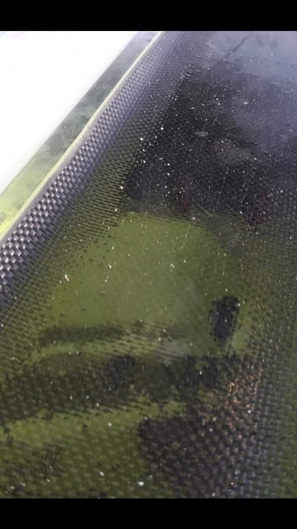 received_788033605078514.jpeg