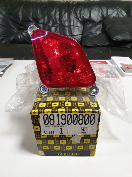 131274401_3461325657296271_4049938585931233495_n.jpg