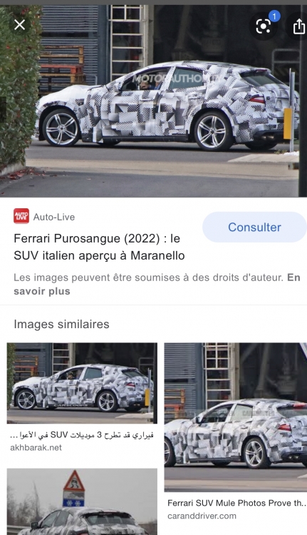 65828BDB-99DB-410D-9E2A-297DC8D9CEE7.jpeg