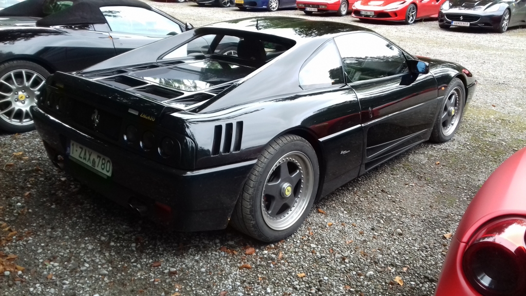 84311 (5).jpg