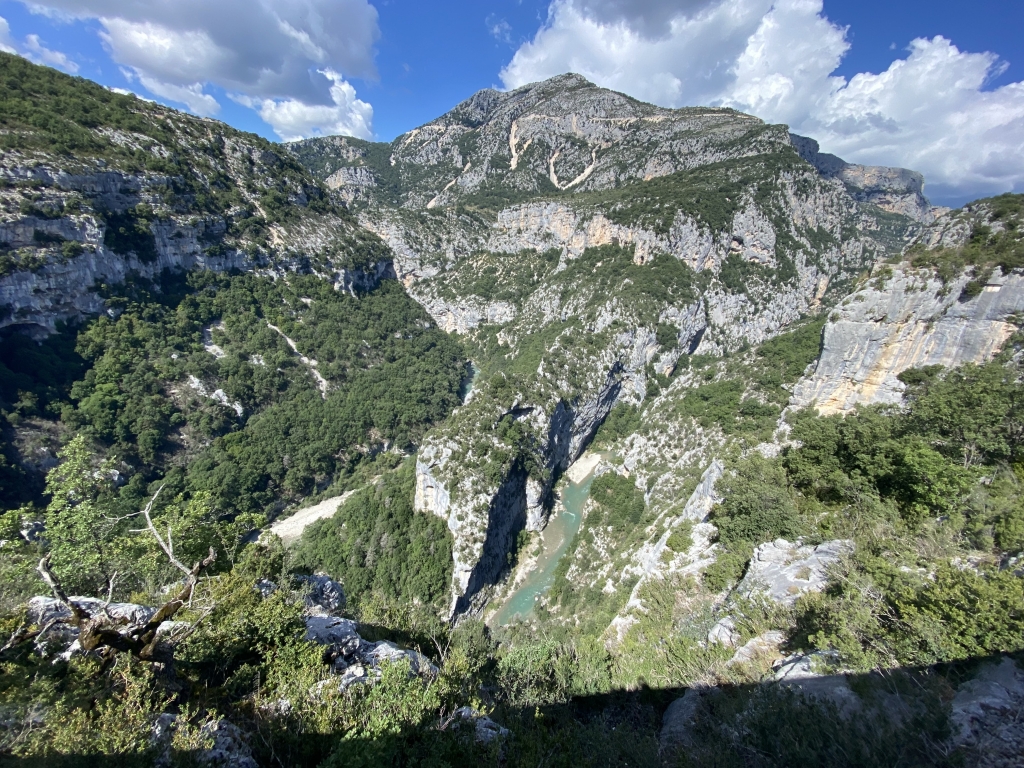 D1E0F03C-0711-431E-87D8-B5F040F34B1B.jpeg