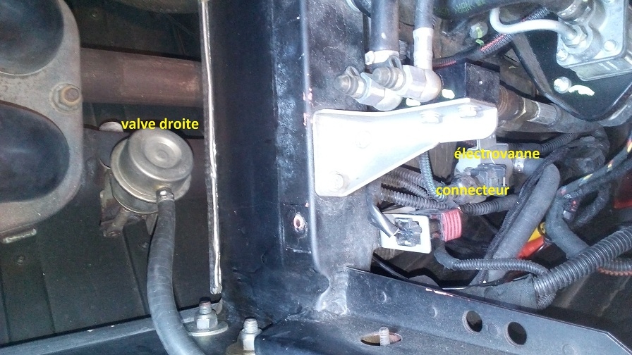 1230668242_fig3-valvedroite.jpg.daaa5c6339f9a3dee3ae138422c7dc0b.jpg