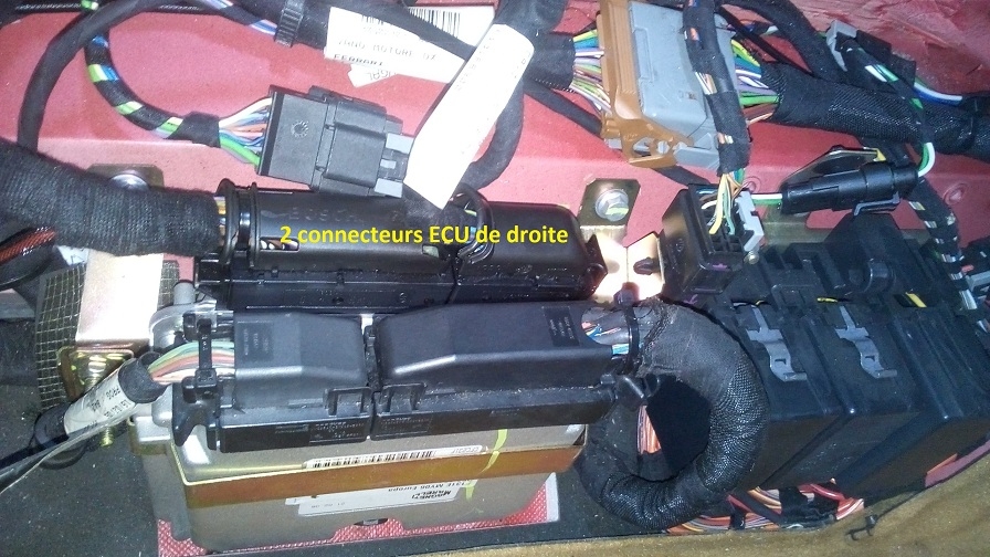 199904856_fig6-ECUdroite.jpg.1a472807cb123a1ec921b67f5cc2d2ad.jpg