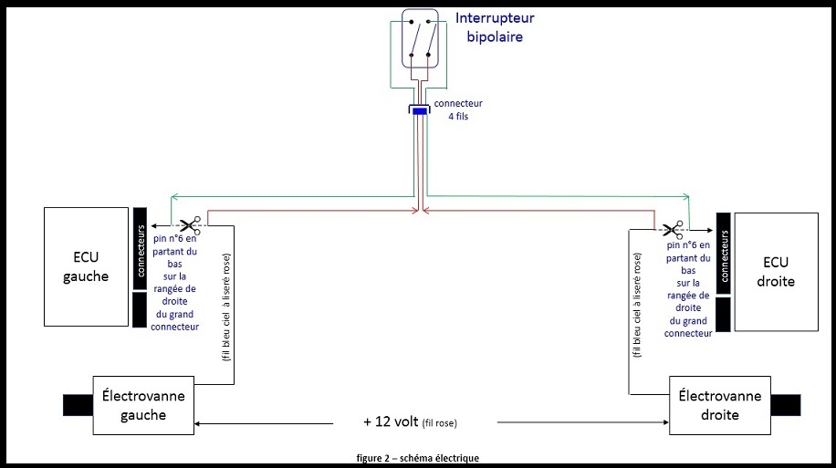 454159640_fig2-schmalectrique.jpg.cdda9057cfe48e50be57cb342a341384.jpg