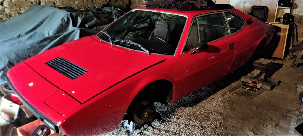 dino 2.jpg