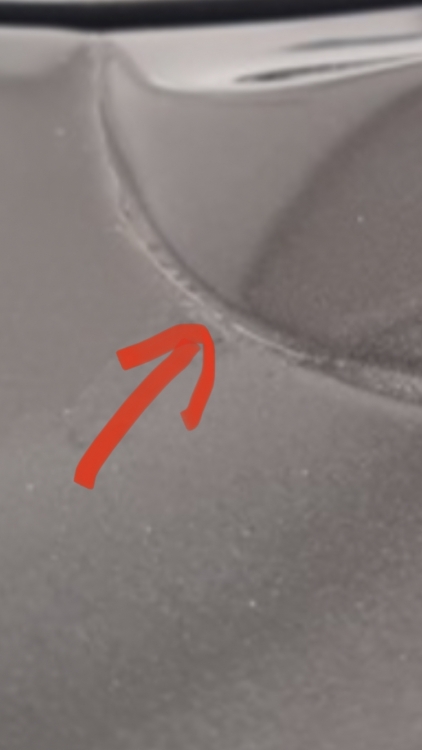 368E1F39-C5F7-45AB-9508-B5F4649A88ED.jpeg
