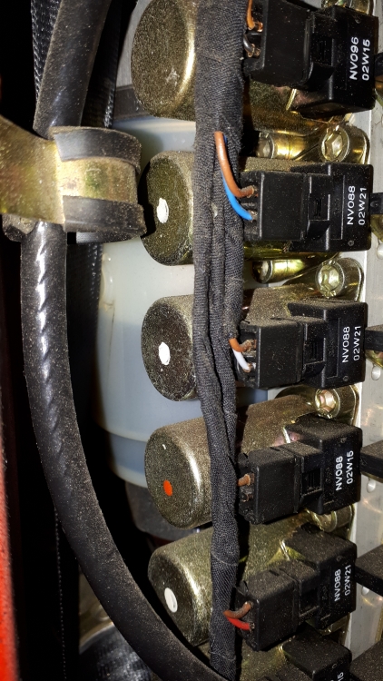 20201111_162945.jpg
