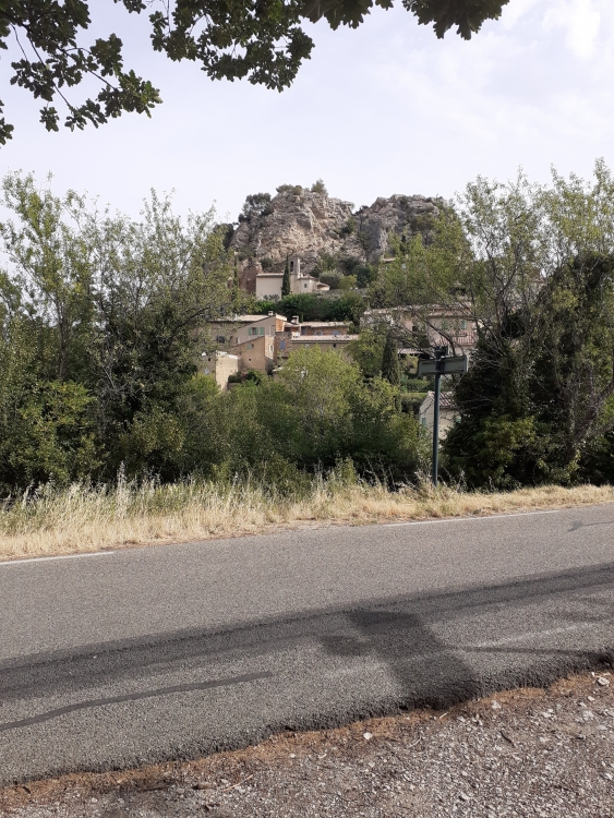 20220615_091157.jpg