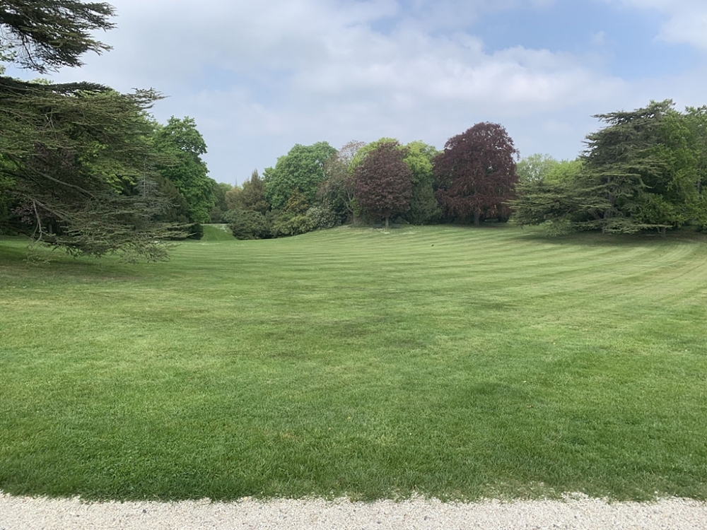 jardin.jpg