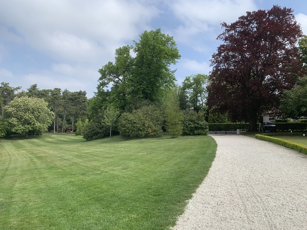 jardin2.jpg