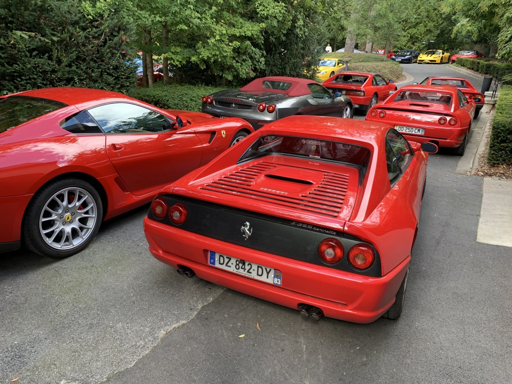 1751765D-DFC8-49CE-9691-E3AEF7ABE793.thumb.jpeg.e0e280f0124ef9d85e918c5247ee1b7e.jpeg