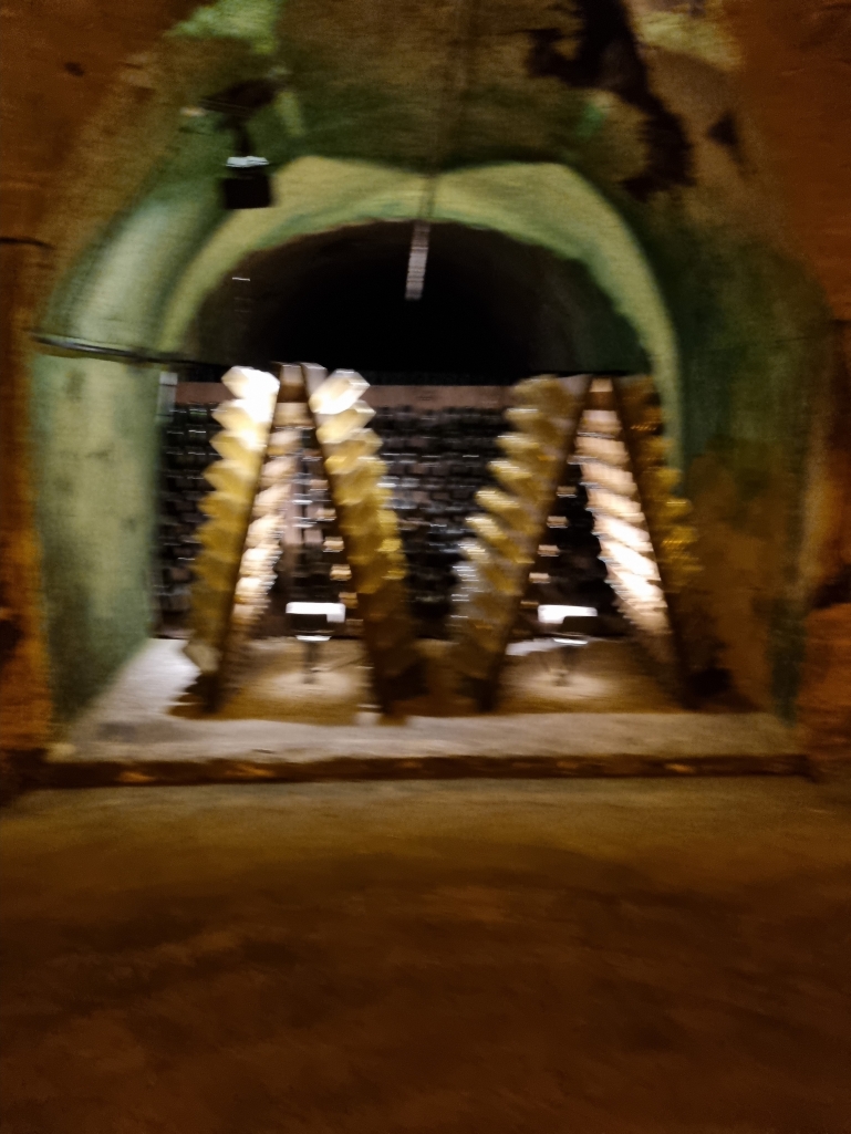 20220917_161956.jpg