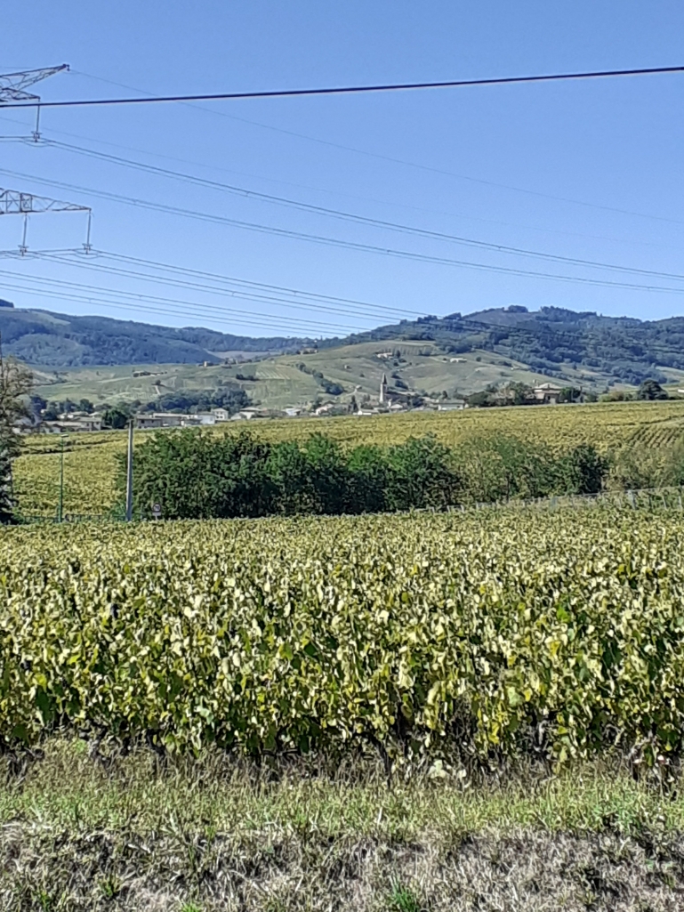 20220918_144932.jpg