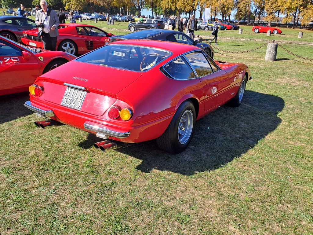 Daytona (2).jpg