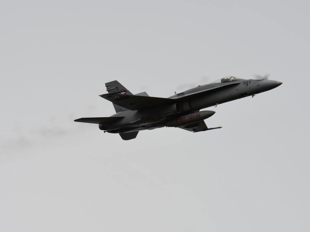 _DSC4956.thumb.JPG.9272e5d9635b618b2373465823a1ce79.JPG
