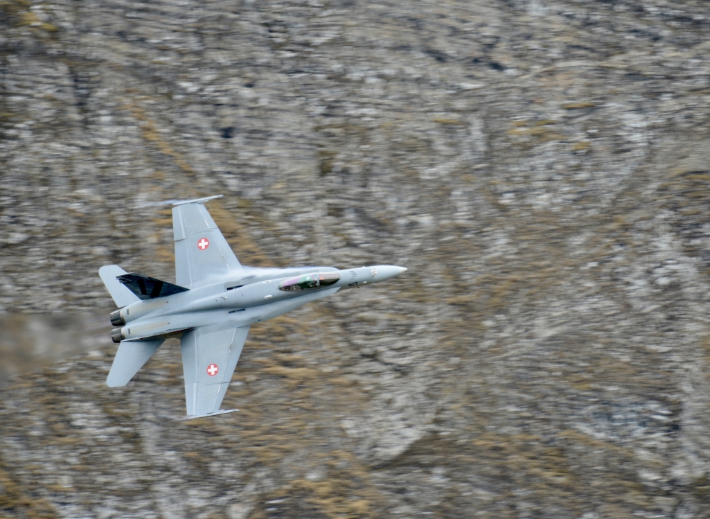 _DSC5443.thumb.JPG.692d5ea601e2e294f0e49b8a62628447.JPG