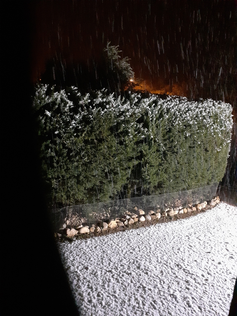 20221212_213419.jpg