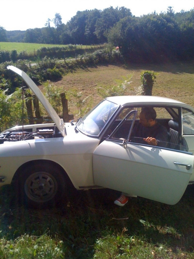 Fulvia.jpg