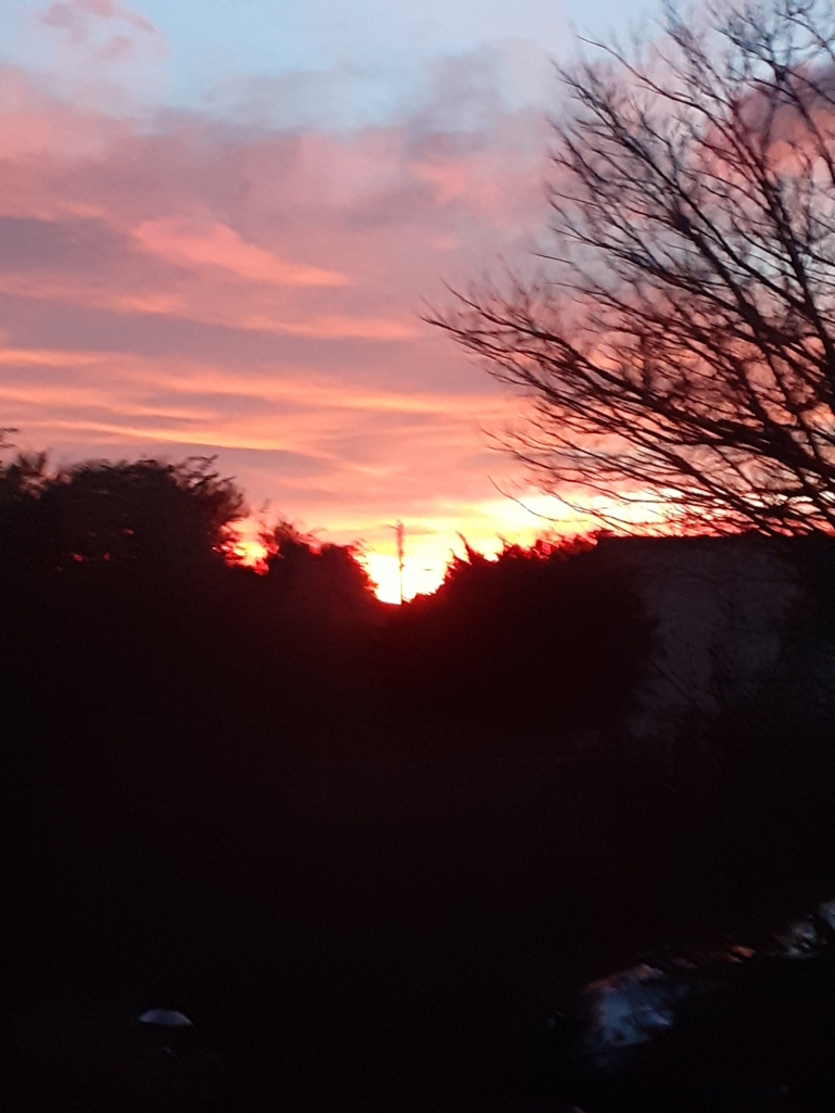 20230204_073104.jpg