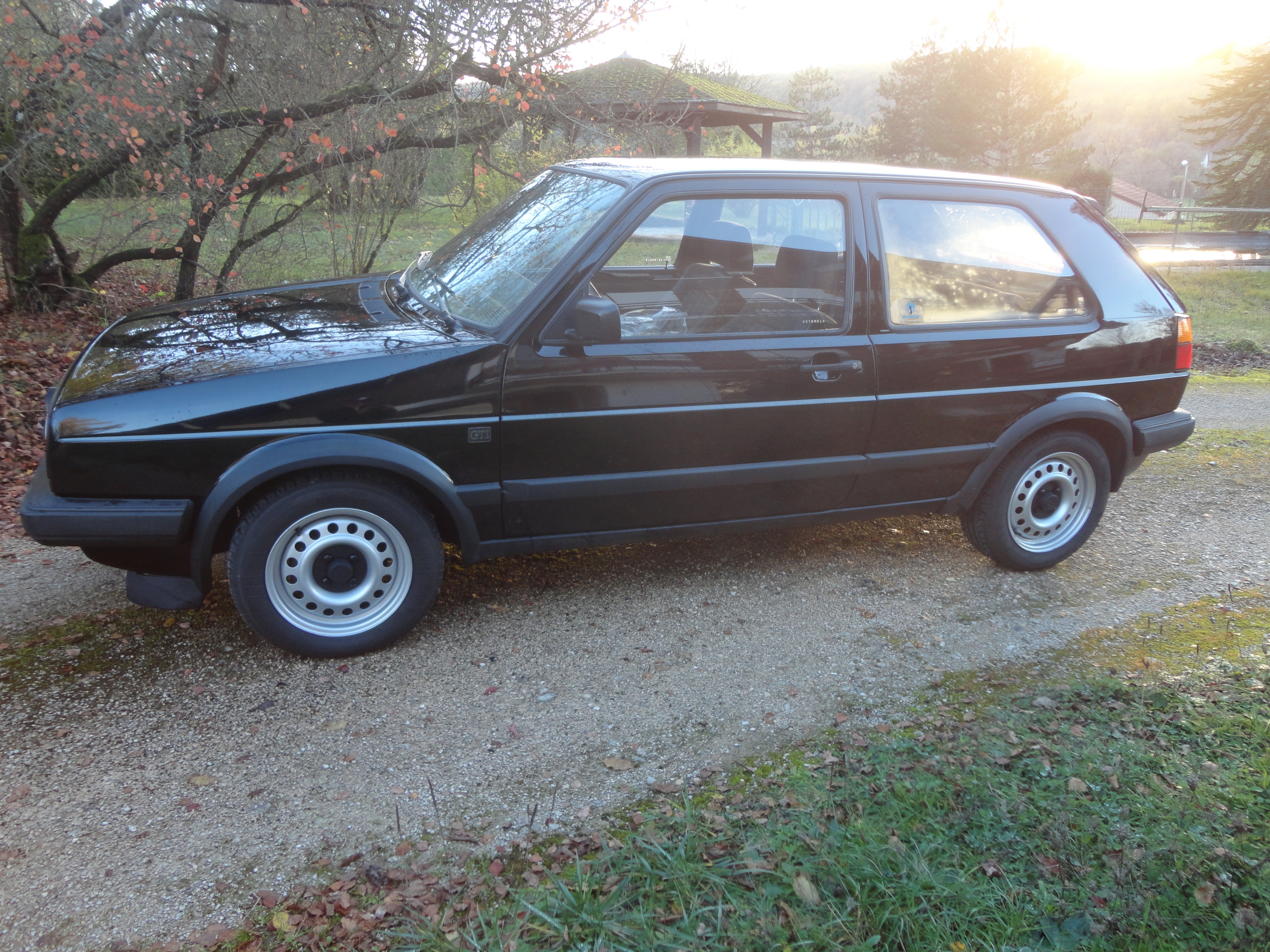 VW Golf GTI flanc.JPG